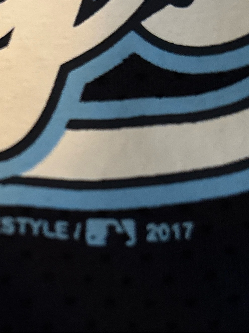 Tampa Bay Rays Womens Mesh Jersey Size XL Baseball Genuine Merchandise V-neck - Picture 11 of 13